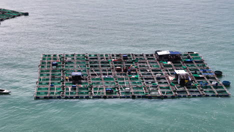 aerial rotation over a fish breeding farm in vietnam