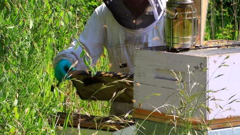 Zeitlupen-Nahaufnahme-Eines-Imkers-In-Schutzkleidung,-Der-Mit-Einem-Bienenstock-Arbeitet