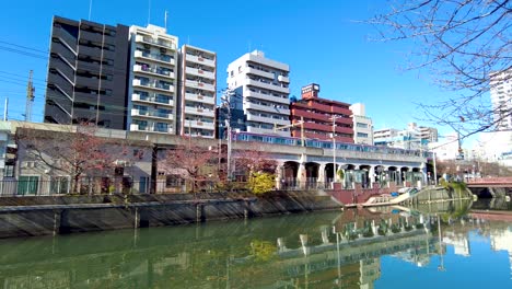 the beauty of ooka river