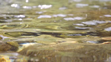 A-clear-stream-with-sparkling-water-surface