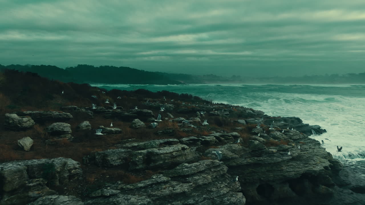 Dramatic Ocean Waves Crashing on Rocky Coastline with Flying Seagulls