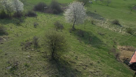 Aerial-drone-rotating-shot-over-peaceful-green-forest-landscape-in-Banska-Bystrica-in-lower-tatras-mountains,-Slovakia-on-a-sunny-morning