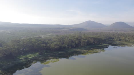 Material-De-Archivo-Aéreo-Lago-Elementaita-Línea-Arbórea