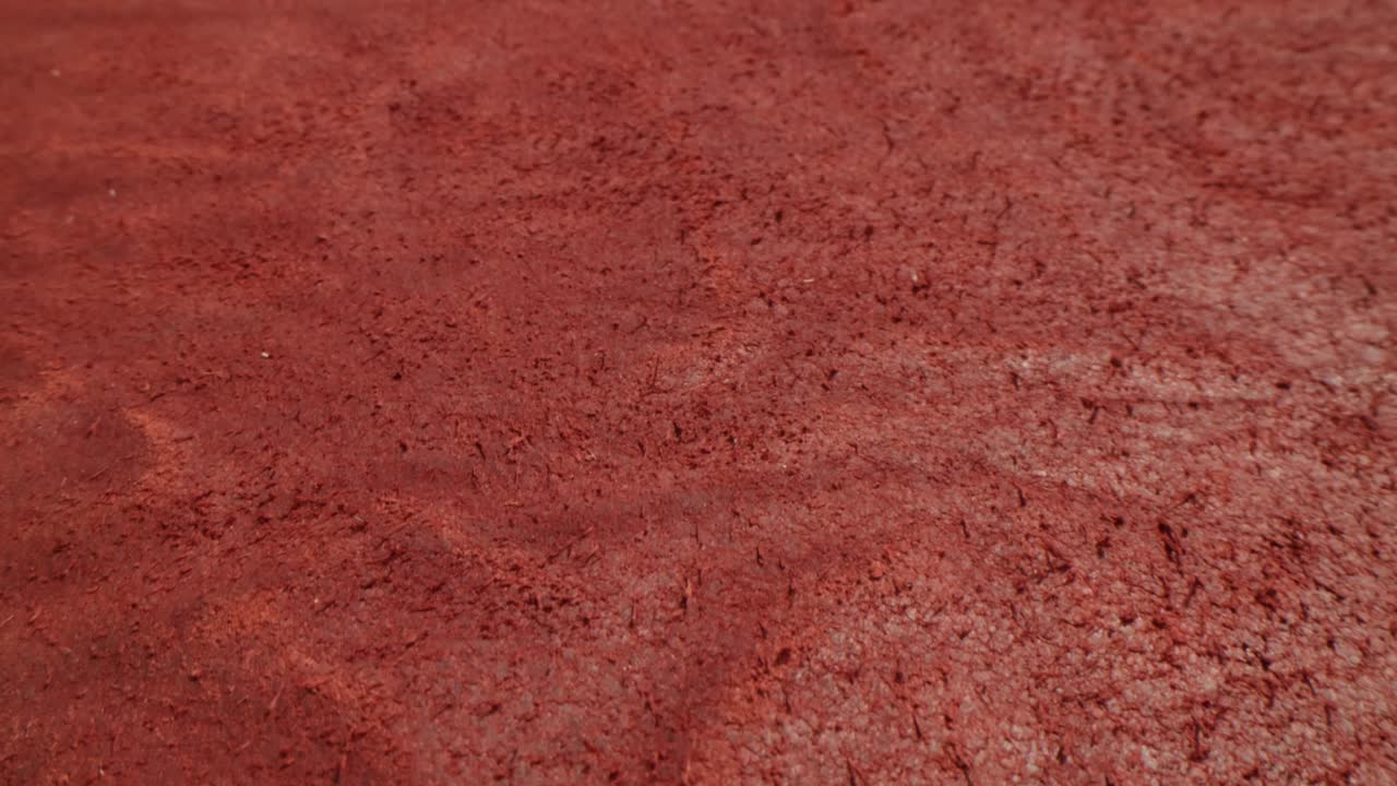 Close-up of a Red Textured Surface