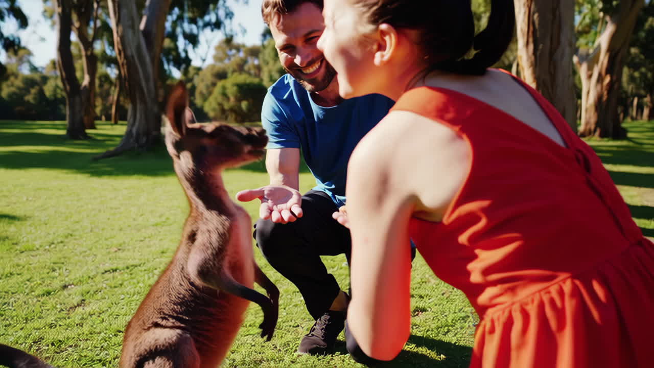 Family Feeding a Kangaroo in a Park