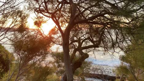 Nahaufnahme-Eines-Mannes,-Der-Bei-Sonnenaufgang-Am-Meer-Läuft