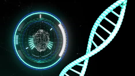 animation of dna strand spinning with data processing over black background