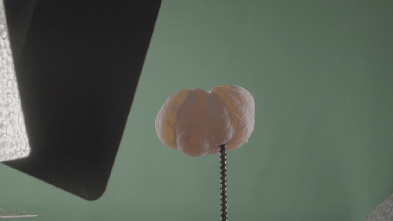 크로마 키를 위해 녹색 화면에 루프와 함께 회전하는 만다린