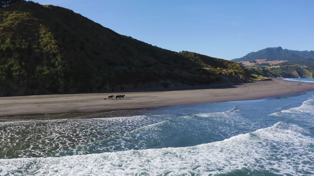 nueva zelanda paseos a caballo en la playa de raglan, hacer turismo y explorar