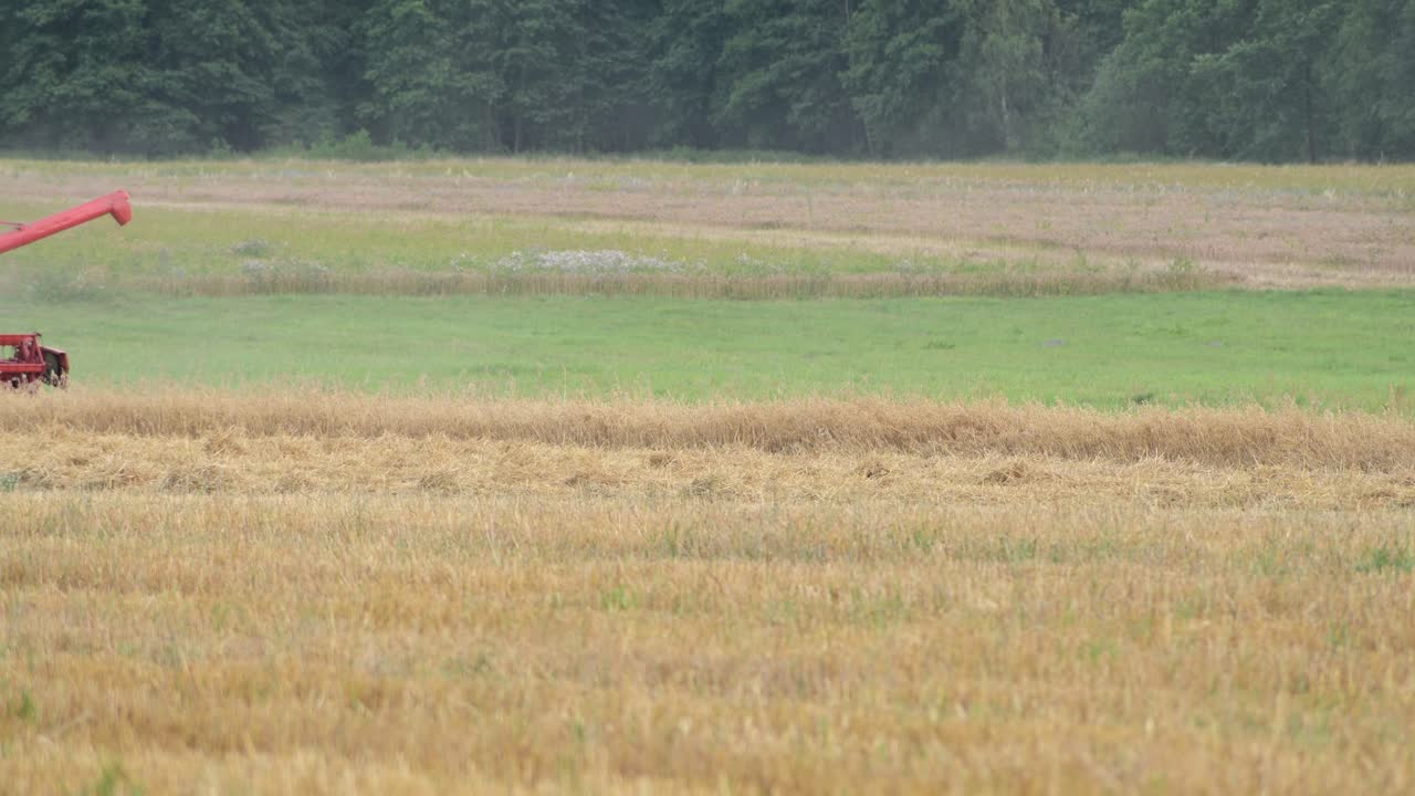 밀밭 농장 정적 샷에서 일하는 빨간 트랙터 수확 기계가 닫습니다.