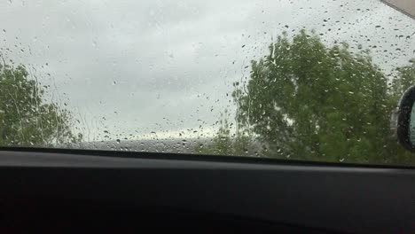 viendo la lluvia caer y las ramas balanceándose con el viento desde el interior del auto a través de la ventana