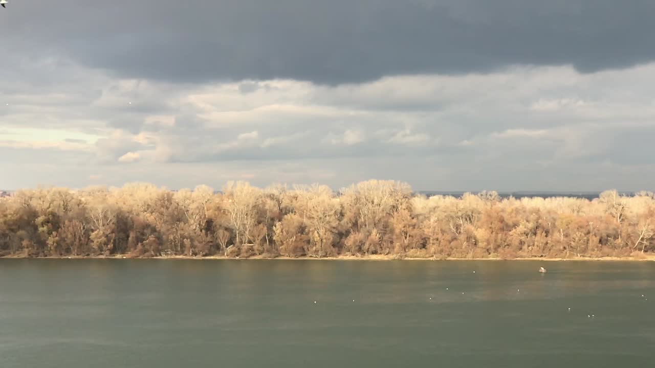 Serene River Landscape with Bare Trees Under an Overcast Sky