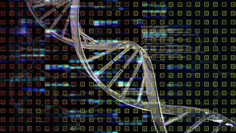 animation of rotating dna chain over black background with lights