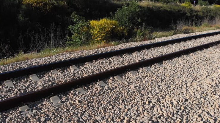 Train Tracks in a Sunny Landscape