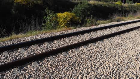 las vías del tren en un paisaje soleado
