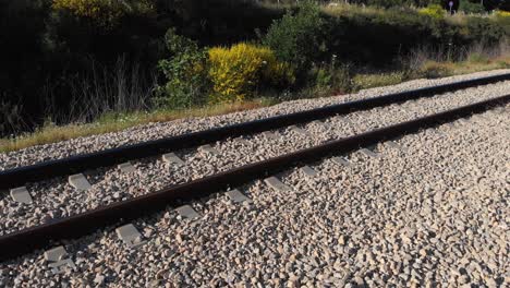 train tracks in a sunny landscape