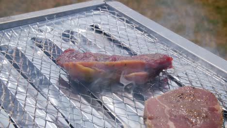 Piece-of-meat-being-placed-on-top-of-a-barbecue-to-be-grilled