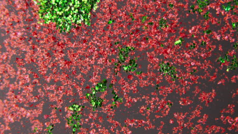 red and green glitter texture