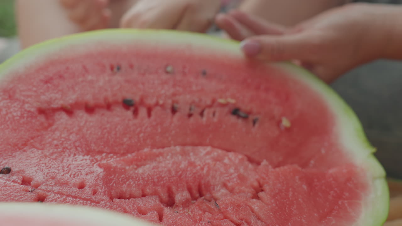 코카서스 소녀가 야외에서 수박 조각을 들고 있고, 즙이 많은 빨간 과육과 손, 끈적거리는 손가락, 킥킥거림, 햇빛이 비치는 초원 배경, 피크닉 담요, 가족 구성원이 조각을 내어 주는 모습, 솔직한 여름