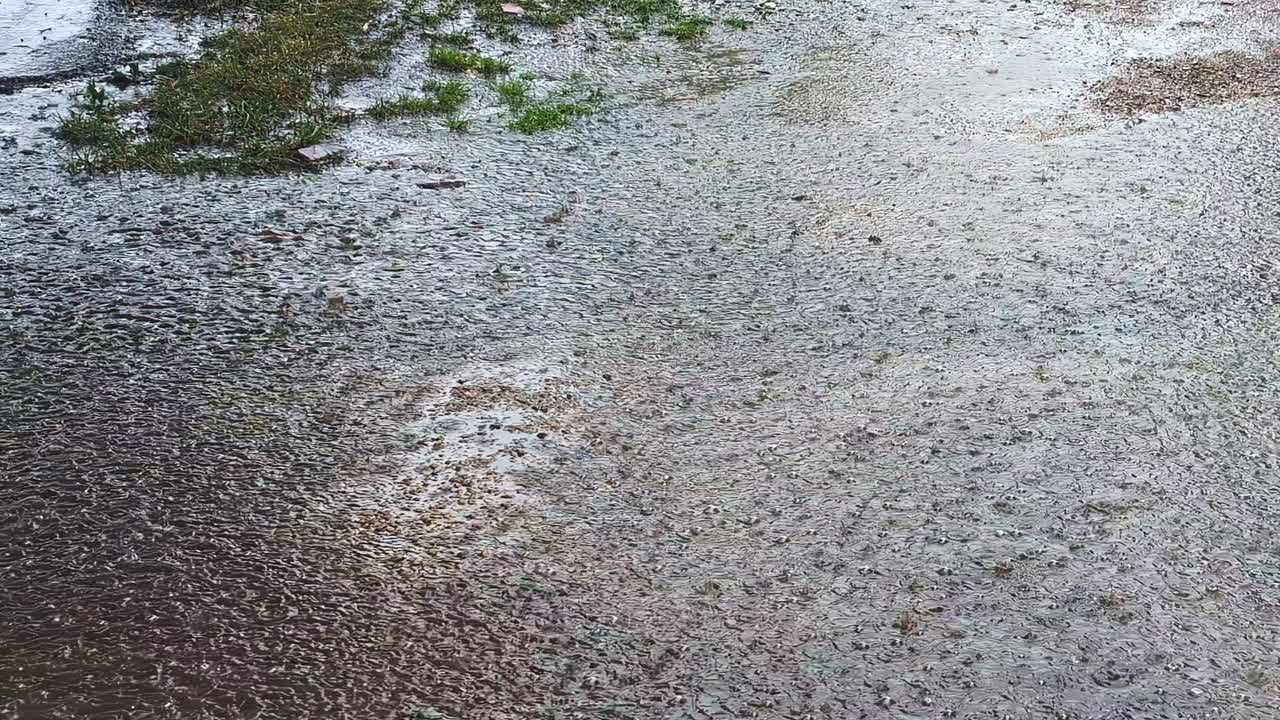 Rainy day puddles in Jelgava, soothing and calming outdoor scenery