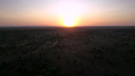 Expansive-African-Serengeti-lands-seen-at-sunset-over-horizon,-Aerial-rising-pedestal-shot