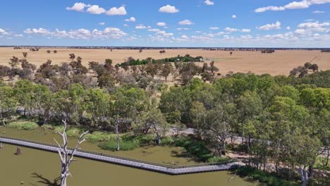 aerial rising up near the new walking and cycling bridge at lake mulwala, nsw, australia with farmland beyond