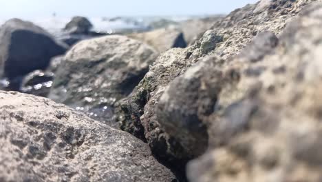 profundidad del campo fluye el agua en el mar rocoso- video hd