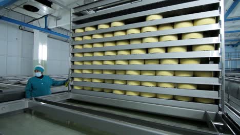 Technologist-monitoring-cheese-manufacturing-process.-Food-industry