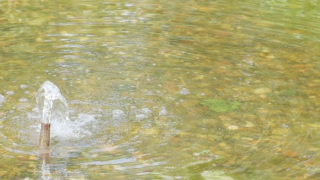 a single water jet rises and falls from a small fountain in a clear, shallow pond. natural daylight, steady camera, tranquil outdoor setting
