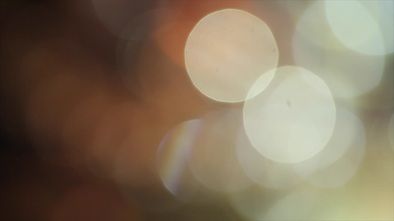 모호한 보케 조명 및 보석