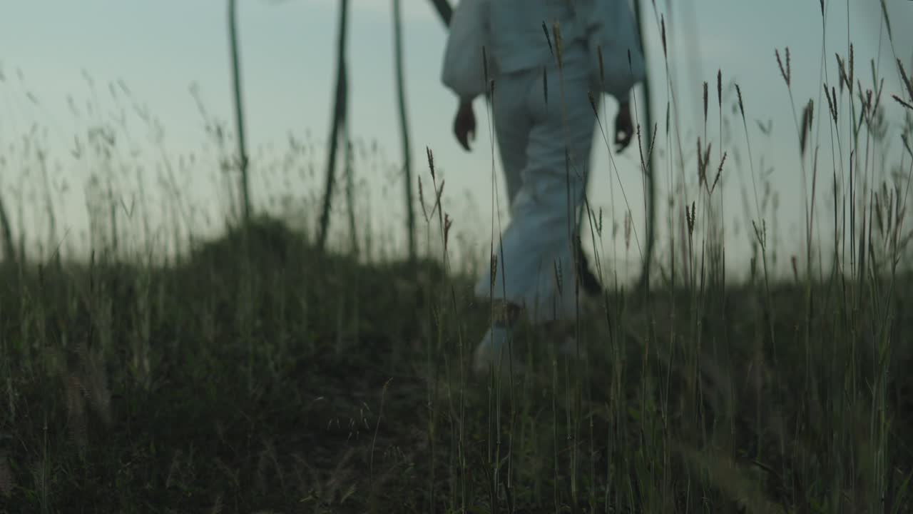 persona caminando a través de un campo de hierba alta al anochecer, vista de ángulo bajo