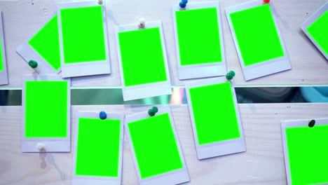el cuadro de la foto con fondo verde