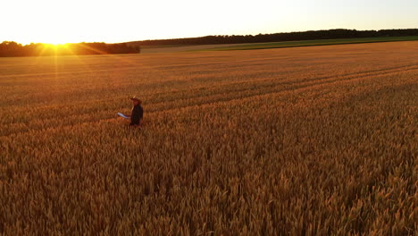 aerial view of farmer walking in field. male farmer walking through wheat field and examining growth of the crops