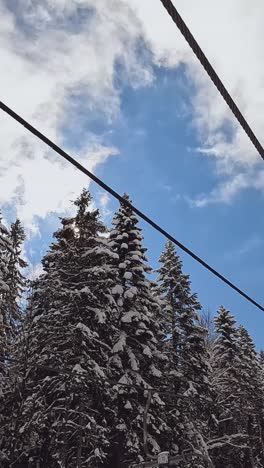 vídeo vertical pov disparado ascensor de silla de esquiador a través de árboles de montaña cubiertos de nieve 1