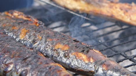 grilled fish on a barbecue grill