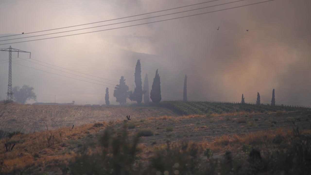 Incêndio florestal se espalhando ao lado de um campo de grama