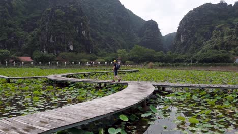 drone flyover lotus lake with tourist walking along gangway, ninh binh