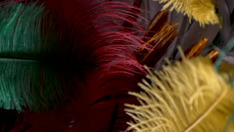 feather-color-yellow-green-red-white-gold-slide-touch-close-up-slow-motion