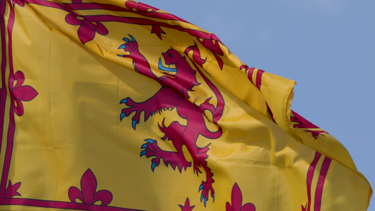 Yellow flag with red lion rampant flutters dynamically against clear blue sky, natural daylight, close-up