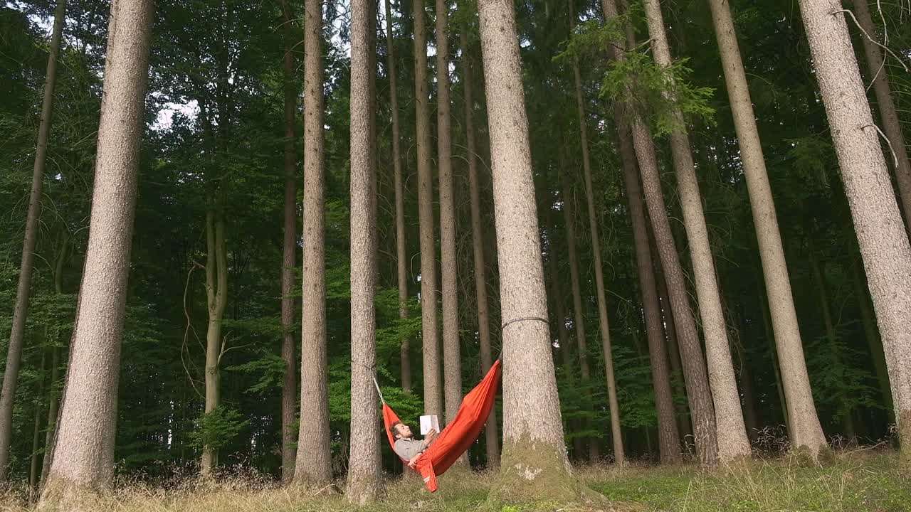 Person relaxing in a hammock in a tall forest, serene and peaceful outdoors