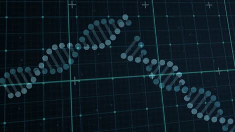 Animation-Von-DNA-Strukturen,-Die-Sich-über-Einem-Gitternetz-Vor-Schwarzem-Hintergrund-Drehen