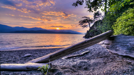 timelapse of sunset on a beach with logs in hdr