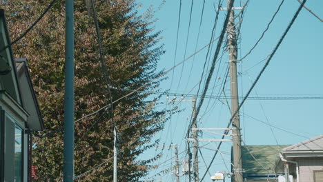 Baumblätter-Und-Stromleitungen,-Die-An-Einem-Sonnigen-Tag-Mit-Dem-Wind-Schwanken---Niedriger-Winkel,-Zeitlupe