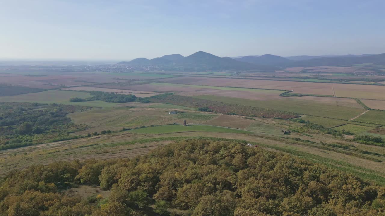 배경 에 언덕 이 있는 포도나무 나라 의 공중 드론 전망
