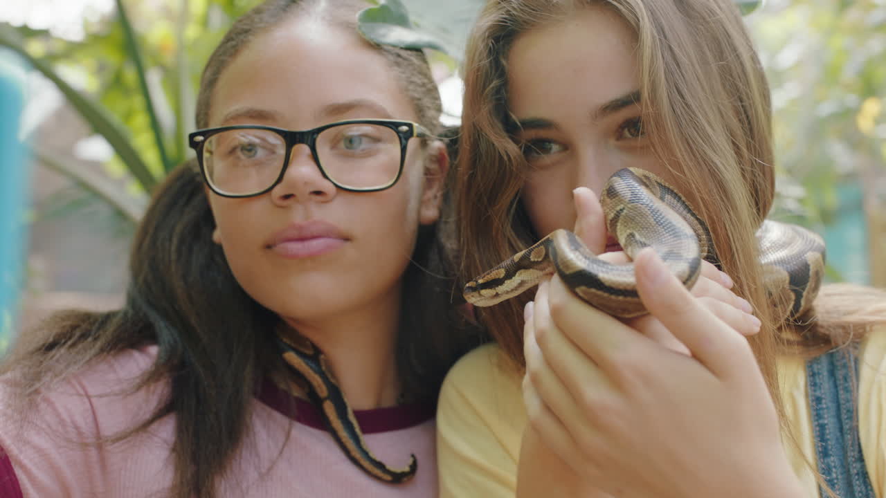 adolescentes sosteniendo amigos serpientes tomando fotos usando teléfonos inteligentes compartiendo excursiones al zoológico en las redes sociales divirtiéndose aprendiendo sobre reptiles en el santuario de vida silvestre 4k