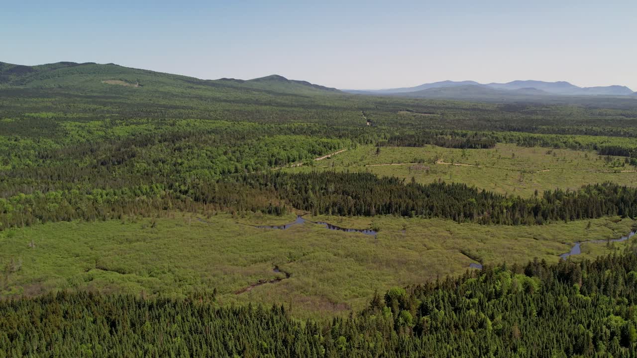Flygfoto över en myr i skogarna i Maine