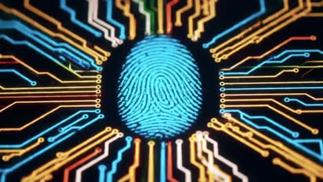a deep dive into digital identity: exploring the intersection of fingerprints and circuitry, highlighting the connection between biometrics and cybersecurity innovations