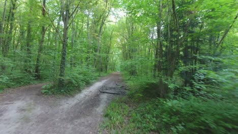 Wunderschöner-Drohnenschuss,-Der-Auf-Einem-Waldweg-Fliegt.-Frankreich