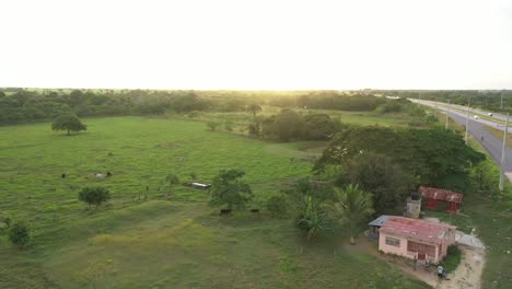 Algunas-Vacas-Al-Lado-De-Una-Pequeña-Casa-Con-El-Sol-Cayendo-Al-Fondo.