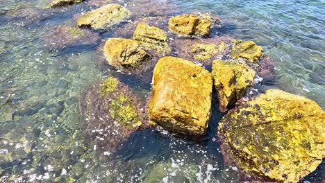 waves gently hitting mossy rocks in clear water